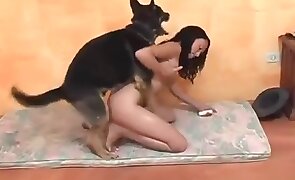 pussy fuck, dog sex
