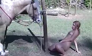 horse sex, sex with animals