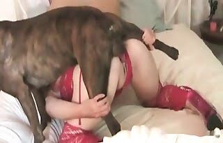 animal-fucks, dog-sex