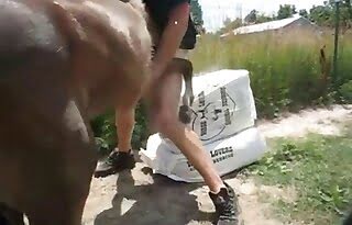 horse-sex animal-fucks