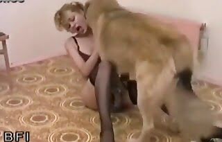 dog-sex,zoo-sex
