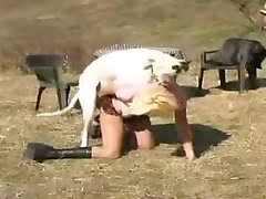 Horse Dog Ladies Bf - Women Having Sex With Horses