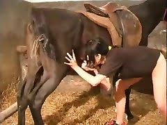 Horse And Girl Porn Vid - Brunette girl and horse sex video