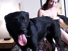 Lady With Animals Porn - Women Having Sex With Animals tube