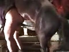 farm-sex , animal-fuck