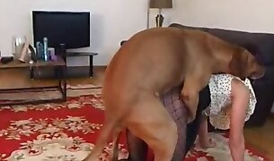 animal fucks girl, dog porn