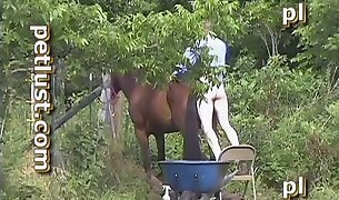 horse porn, sex with animals