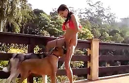Teen cute girl having nasty bestiality threesome dog sex with her two male  dog pets outdoors