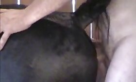 cheval baise porno, la femelle aime les animaux