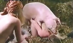 pig fuck xxx porn, zoofilia loving sluts
