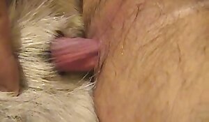 oral zoofilia scenes, free dog sex videos