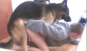 Dog Sxi Video - Free Dog Sex Videos. Free bestiality and animal porn