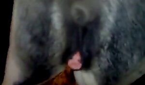 zoo porn xxx clips, fuck zoo porn videos