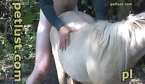 Horse And Girl Sexy Video Film Download - Free horse sex video for you. Free bestiality and animal porn