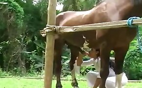 hardcore zoo porn, horse sex