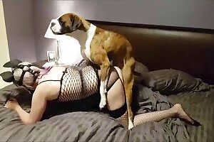 doggy-porn , zoo-fuck