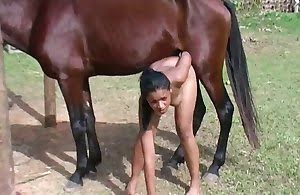 Woman Fucked By Horse - Impressive slut is getting fucked by a horse