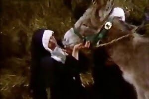 zoo-fuck, nuns