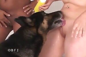 dog-porn, zoofilia