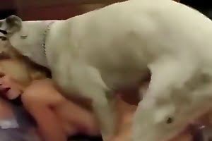 Girl gets fucked dy dog up close Girl Videos