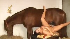 horse-porn,animal-fucked