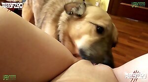 free-videos,dog-porn