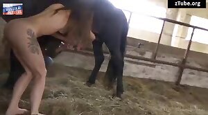 dick,horse-porn
