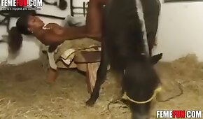 sex with animals, horse bestiality