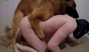 dog sex, zoo fuck porn